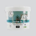 Enduit fin à la chaux - blanc 1