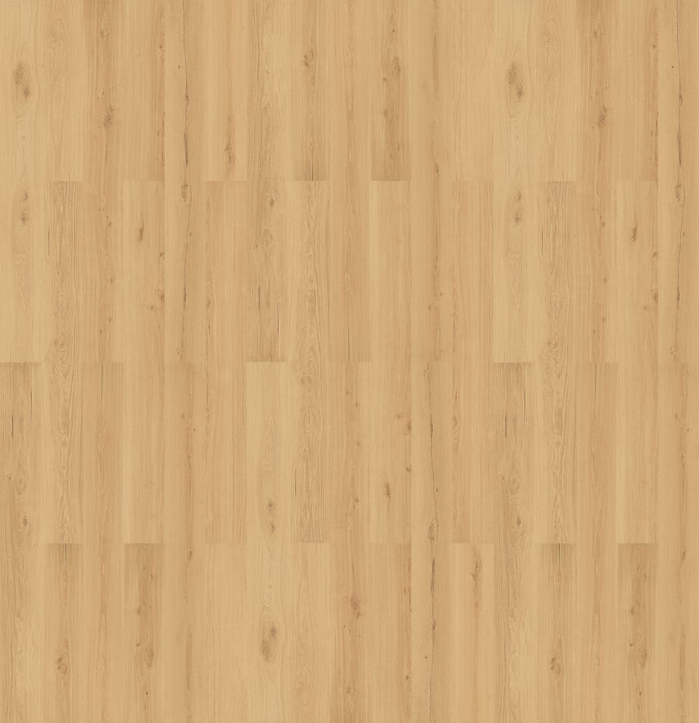 Napa Oak